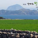 (주)청보리 이미지