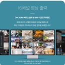 비디오채널