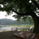 매여울생태공원 이미지