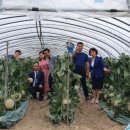 (주)에코셀 이미지