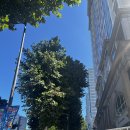 써지에이드 | 송리단길맛집 건강식 브런치카페 강추 코티지