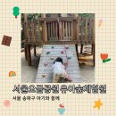 오금공원 유아숲체험원 이미지