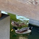 매월당민박 이미지