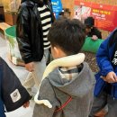 찬들로 | 영암 기찬랜드 곤충 박물관 후기 곤충, 파충류 체험