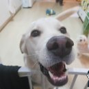 이디야커피광교상현역점