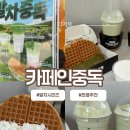 세븐일레븐 천안성정라이프점 | 카페인중독 말차 신상 솔직후기 :제일 맛있던 디저트 맛집 추천 조합