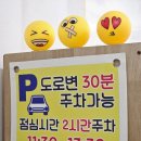 피카디리 애견호텔 이미지