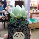 합포중학교 이미지