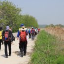 황구지길 이미지