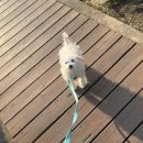 구야목장 네이버블로그