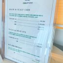 파코메리 | [수원 광교] 파코메리 뷰티스테이 : 광교 두피관리 헤드스파 솔직후기