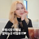 하살롱 - 동대문구 제기로 12-1 | 부평시장미용실 염색 잘하는곳 레하살롱