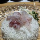 배정철 어도 이미지