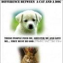 개와고양이 이미지