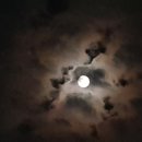 달이 떴다고 전화를 주시다니요 이미지