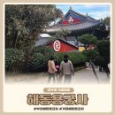 (주)세신청정 | 아이랑 부산여행 기장 해동용궁사 입장료 주차장 동전 소원 가볼 만한 곳 방문 후기
