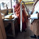 태형청과