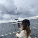 제주 우찌 이미지