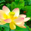 성공열쇠 - 천안시 서북구 월봉로 132 | 성공열쇠