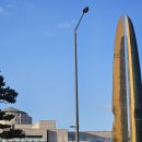 태극행정사 이미지