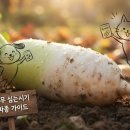 상순농장 | 김장무 심는시기