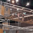 부천 라온태권도 이미지