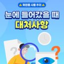 누리코리아헤어