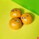 우리농수산직판장 이미지