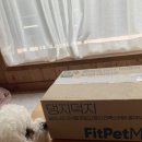 트릿츄잇 이미지