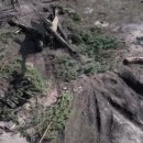 한창약품(주) 이미지