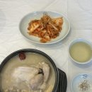 지호한방삼계탕속초점 | 강원도 속초 맛집 | 속초 복날 삼계탕 맛집 추천 한방육수 몸보신 보양식 내돈내산 ‘지호한방삼계탕’