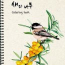 그림이좋은사람들 - 안양시 동안구 벌말로 66 | 그림이좋은사람들
