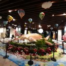 숲속고양이 이미지