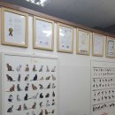 탑동물병원 이미지