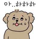 남해의 여유 이미지