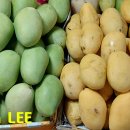 [이준성의 사진 묵상] 1468. 부자와 가난한 자의 차이 이미지