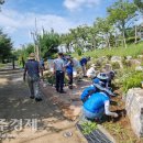 삼성전자(주) 이미지