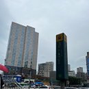 자마이카 휘트니스 이미지