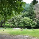 안내초 용촌분교 이미지