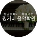핑거비음악학원
