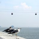 전곡항로50번길 이미지