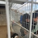 부산농장 | 치유 농장 온담 후기 - 부산 아이랑 동물 체험