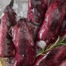 한치로1 이미지