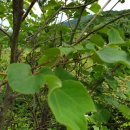 새벌농장 이미지