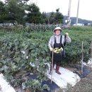 홍가네농장 이미지