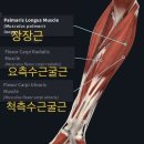 공감 골프 이미지