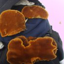 정선농장 이미지