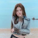 정세비헤어