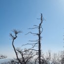 최북미술관김환태문학관 Daum카페