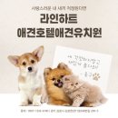 라인하트 애견호텔 유치원 | 김포 라인하트 애견호텔애견유치원 호텔링과 유치원 동시에 운영하는 김포 반려견 케어센터